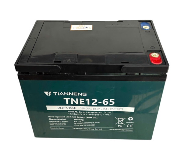 Bình điện xả sâu 12V - 65Ah THIÊN NĂNG (TIANNENG) TNE12-65