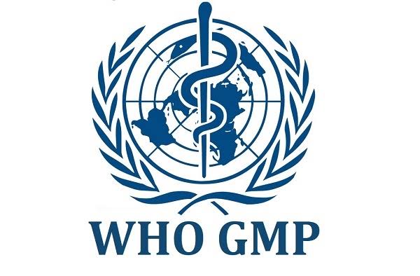 Tiêu Chuẩn WHO GMP